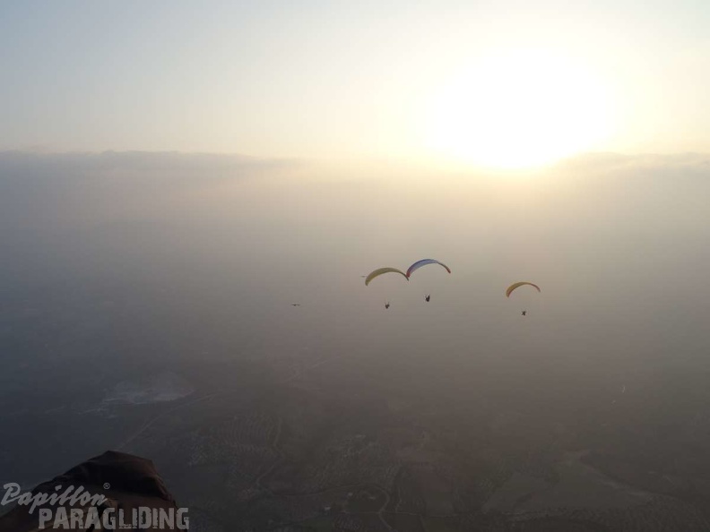 FA12_14_Algodonales_Paragliding_157.jpg