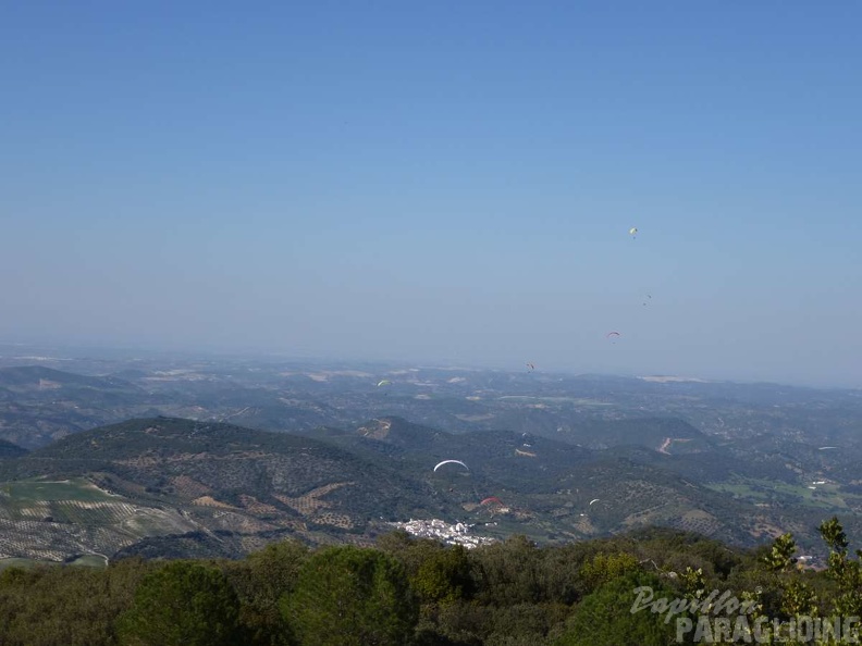 FA12 14 Algodonales Paragliding 223