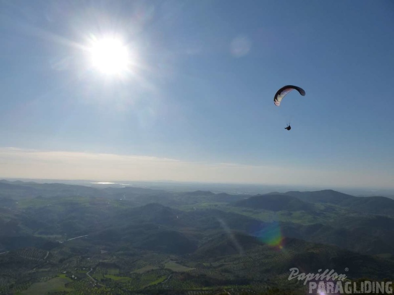 FA12 14 Algodonales Paragliding 244