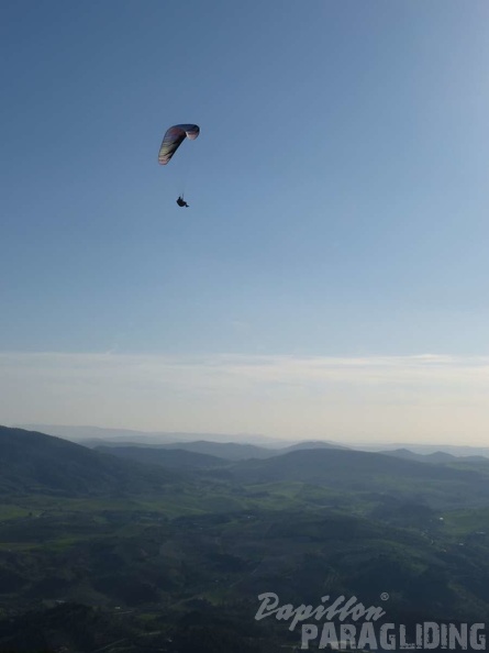 FA12 14 Algodonales Paragliding 251