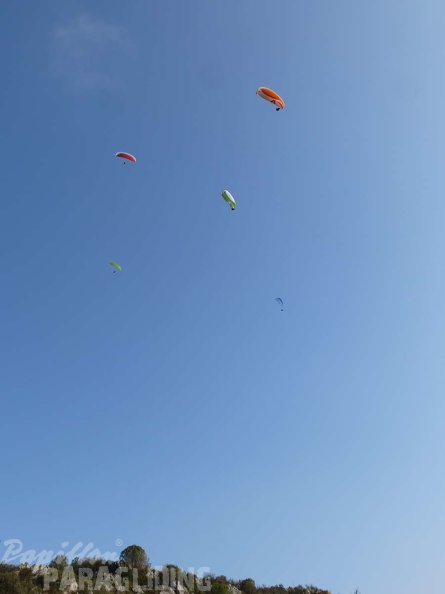 FA12 14 Algodonales Paragliding 449