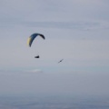 FA1_14_Algodonales_109.jpg