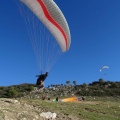 FA2 14 Algodonales 021