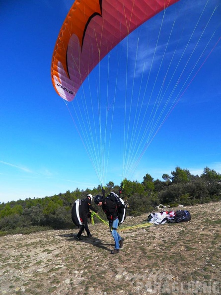 FA2 14 Algodonales Papillon 048