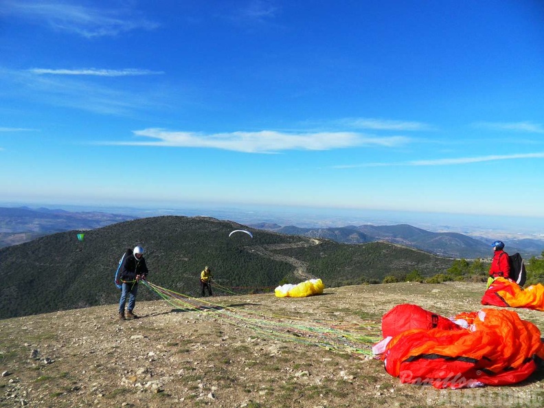 FA2_14_Algodonales_Papillon_061.jpg