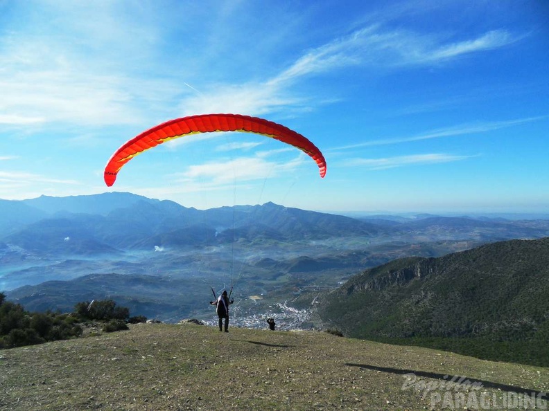 FA2 14 Algodonales Papillon 071