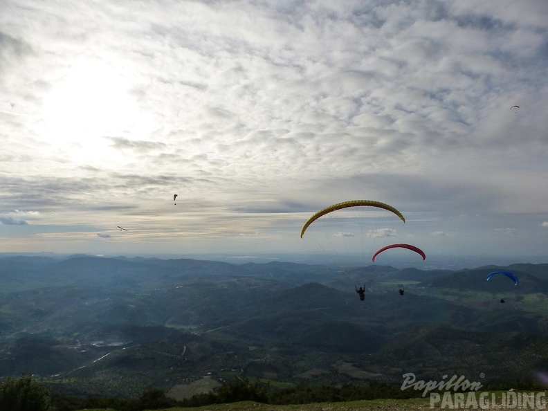 2014-11-10-Algo-Poniente_57.jpg