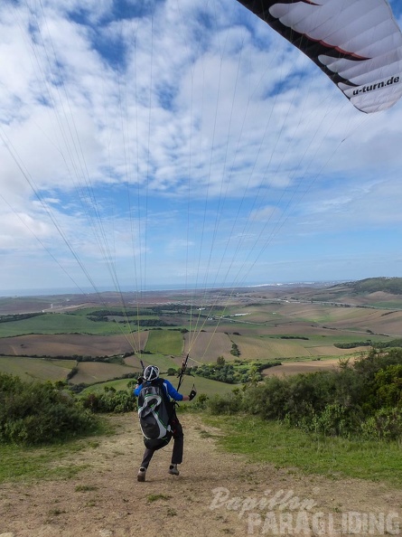 2014-11-12-Algo-Vejer_29.jpg