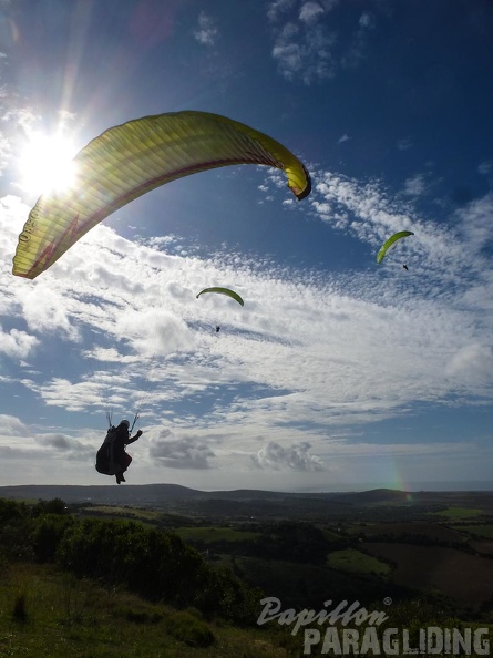 2014-11-12-Algo-Vejer 45