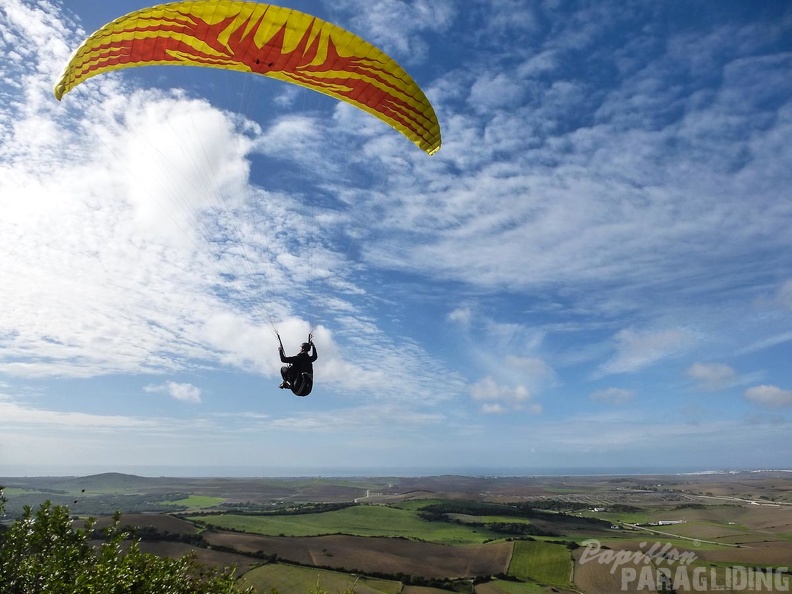 2014-11-12-Algo-Vejer_52.jpg