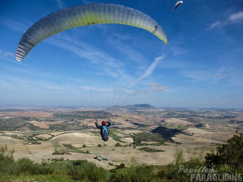 2014-11-17-Algo-Montellano 13