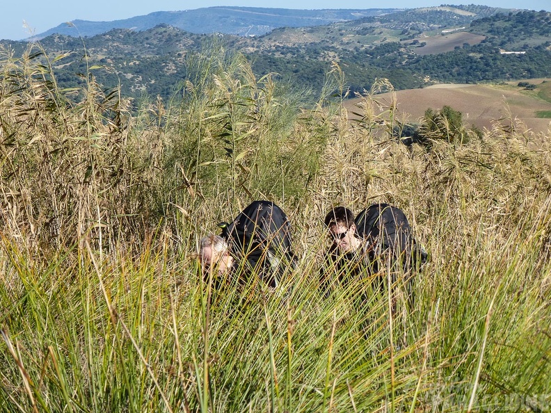 2014-11-18-Algo-LevantePoniente_46.jpg