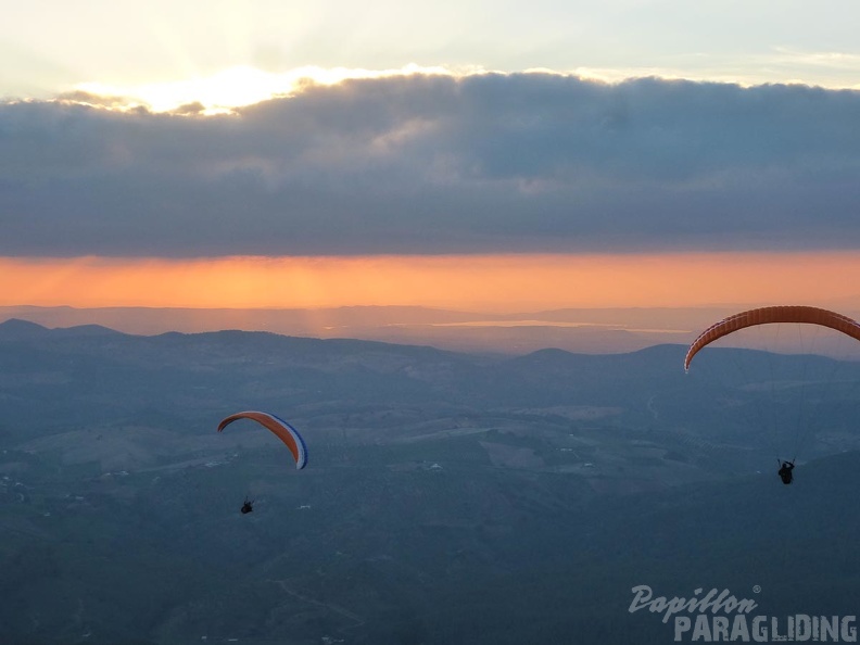 2014-11-18-Algo-LevantePoniente_95.jpg