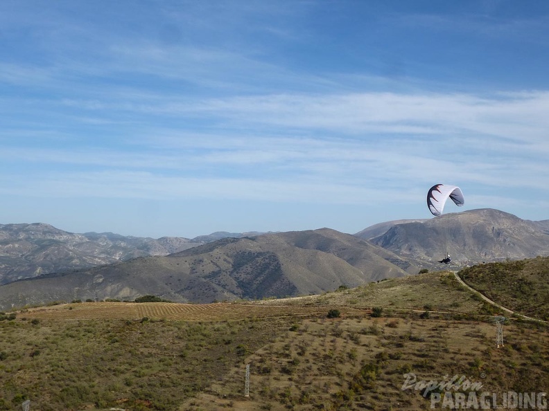 2014-11-20-Algo-Cenes 19