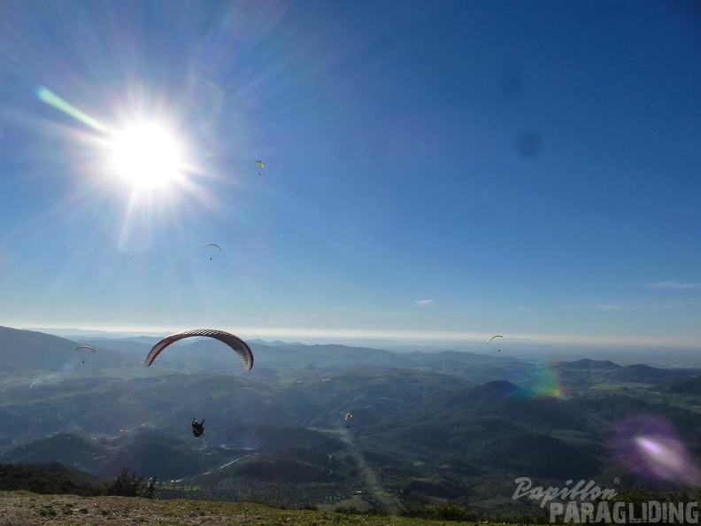 2014-12-31-Algo-Poniente 8