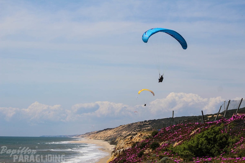 FA16.15_Algodonales_Paragliding-180.jpg