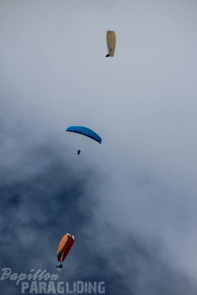 FA16.15 Algodonales Paragliding-212