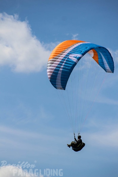 FA16.15_Algodonales_Paragliding-233.jpg