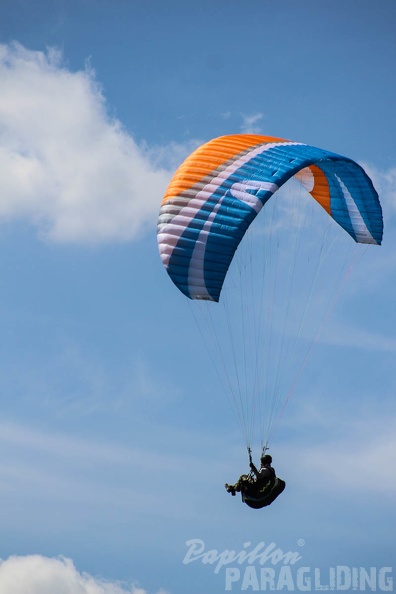 FA16.15 Algodonales Paragliding-233