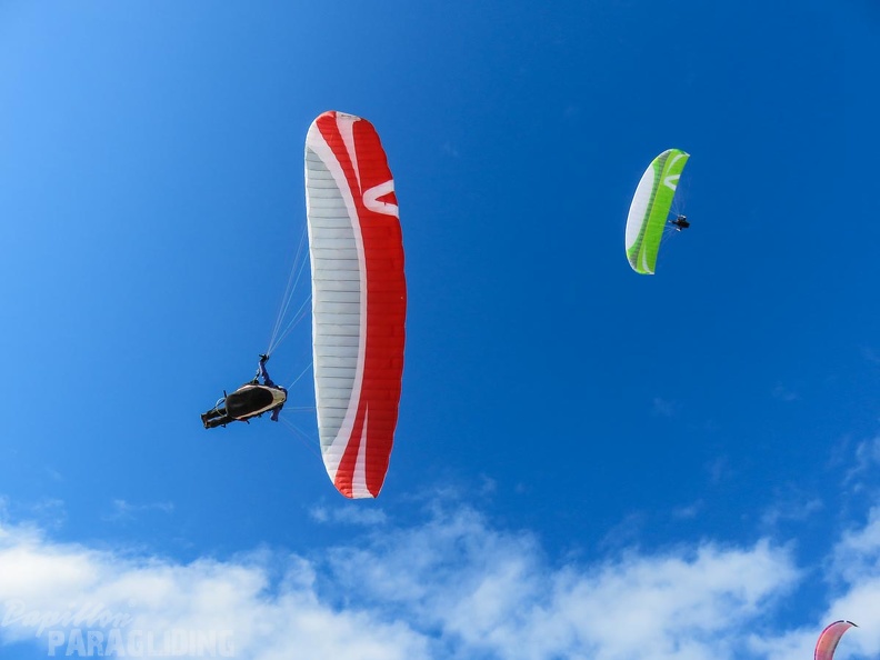 FA53.15-Algodonales-Paragliding-239.jpg