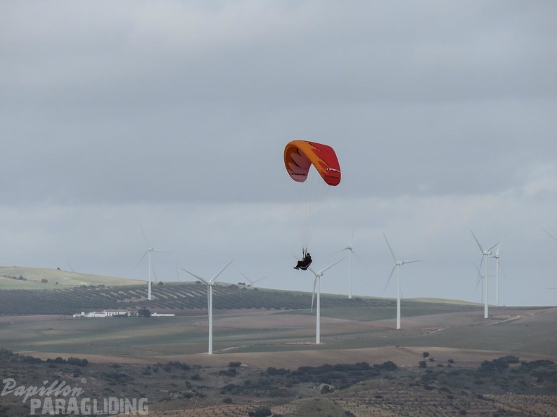 FA53.15-Algodonales-Paragliding-292