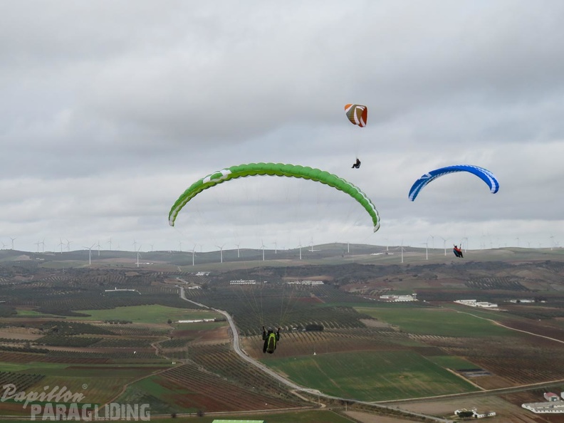 FA53.15-Algodonales-Paragliding-310.jpg