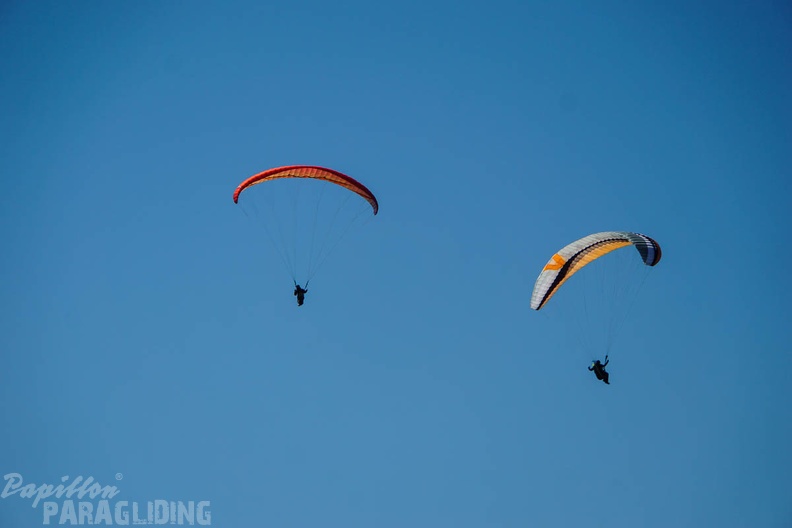 FA13.16_Algodonales-Paragliding-1047.jpg