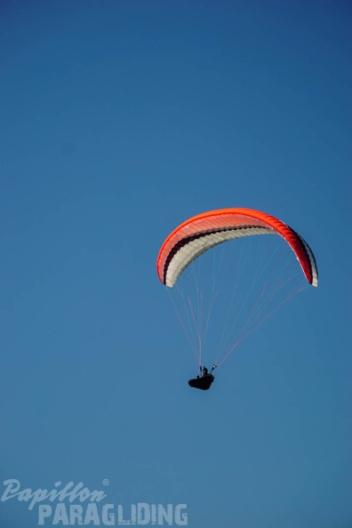 FA13.16_Algodonales-Paragliding-1064.jpg