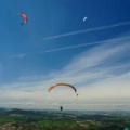 FA13.16 Algodonales-Paragliding-1163