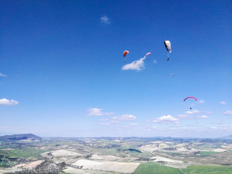 FA14.16-Algodonales-Paragliding-152