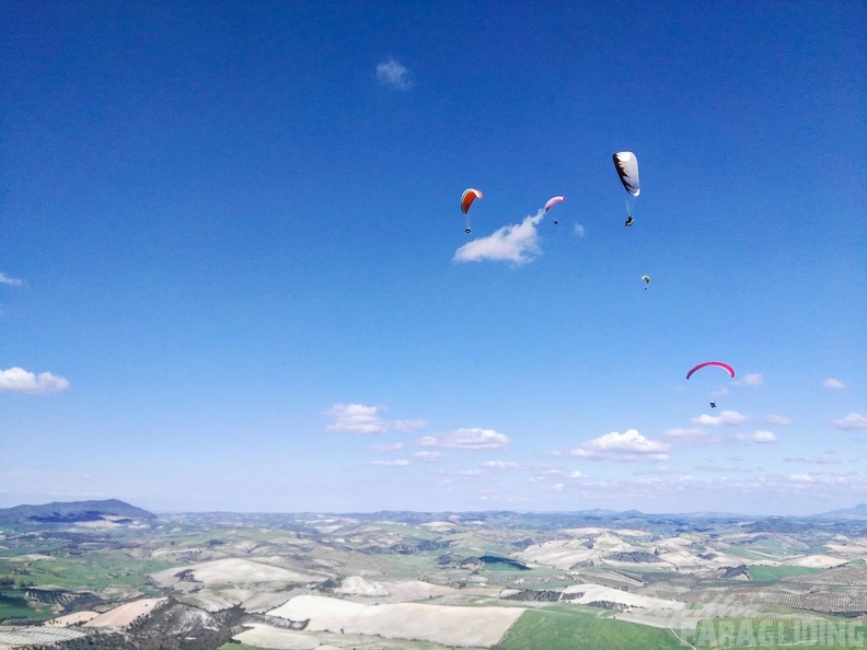 FA14.16-Algodonales-Paragliding-152.jpg