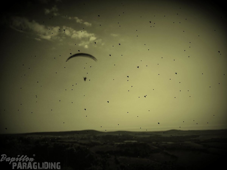FA14.16-Algodonales-Paragliding-213