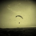 FA14.16-Algodonales-Paragliding-218