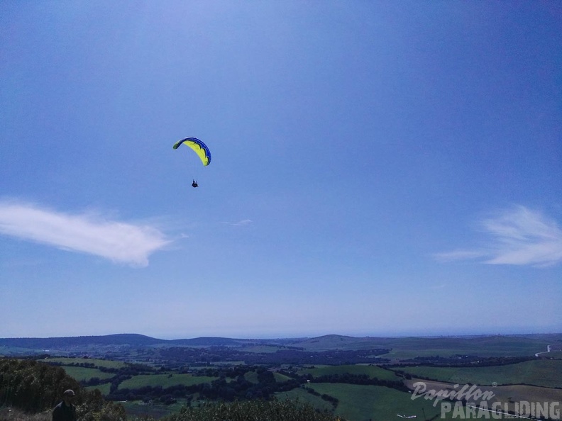 FA14.16-Algodonales-Paragliding-250