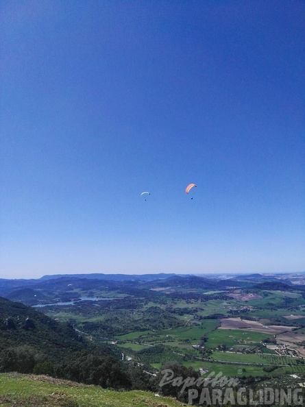 FA14.16-Algodonales-Paragliding-343