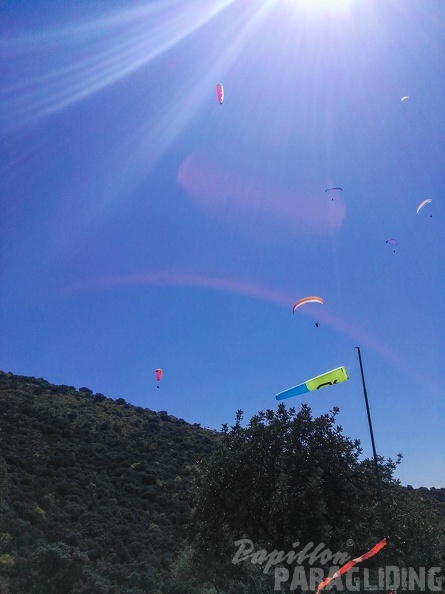 FA14.16-Algodonales-Paragliding-371