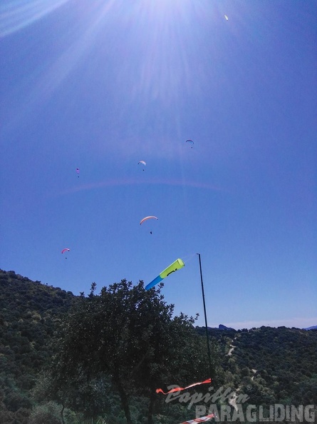 FA14.16-Algodonales-Paragliding-374