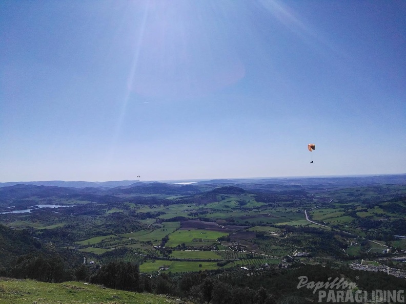 FA14.16-Algodonales-Paragliding-392