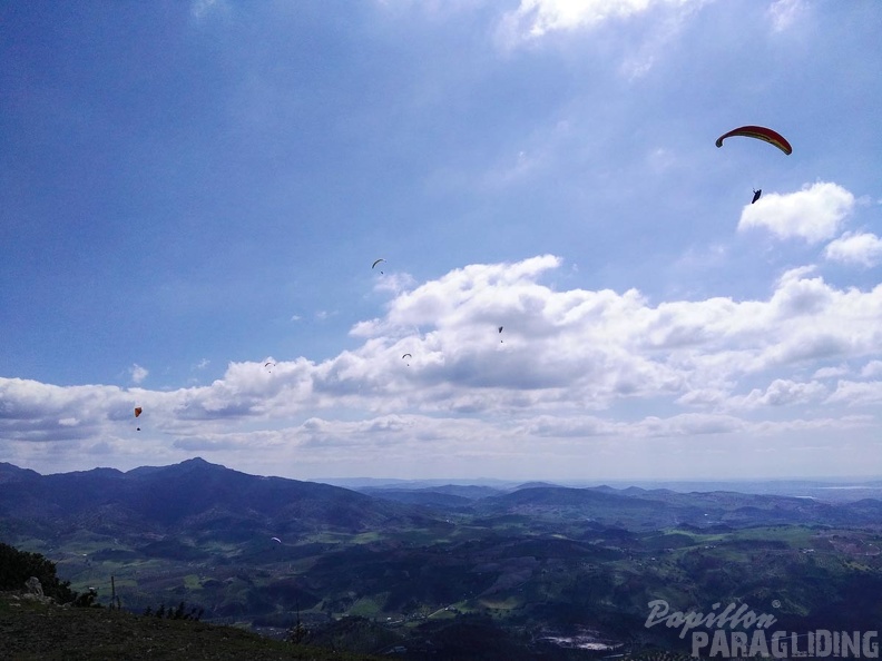 FA15.16-Algodonales_Paragliding-358.jpg