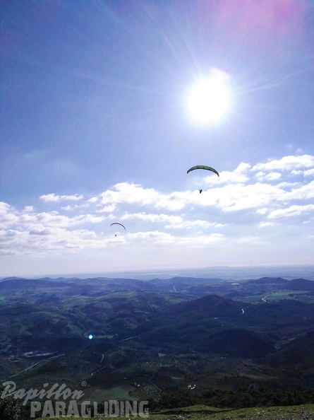 FA15.16-Algodonales Paragliding-378