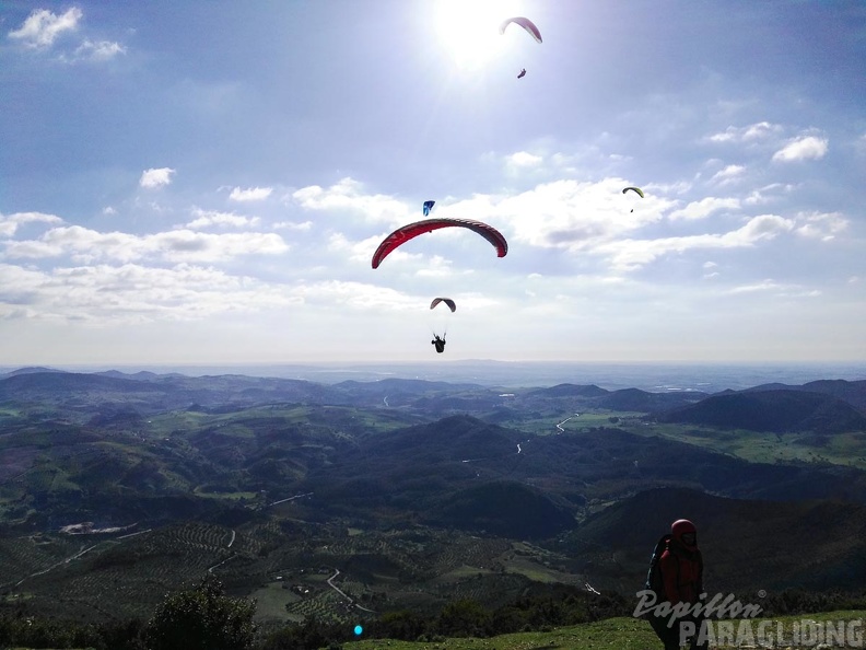 FA15.16-Algodonales Paragliding-386