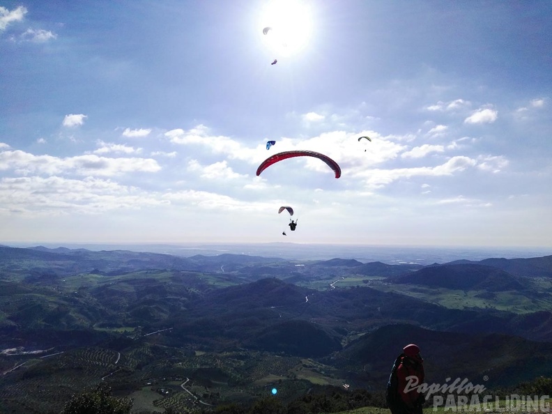 FA15.16-Algodonales_Paragliding-387.jpg