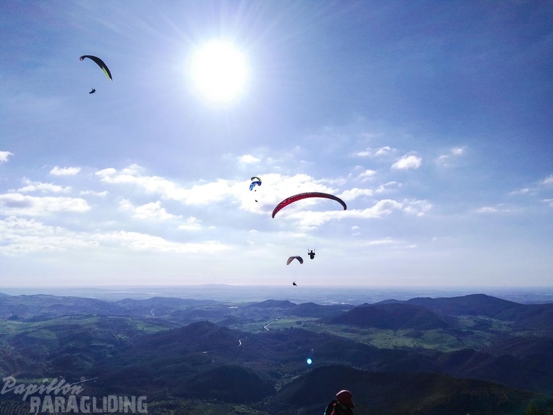 FA15.16-Algodonales Paragliding-389