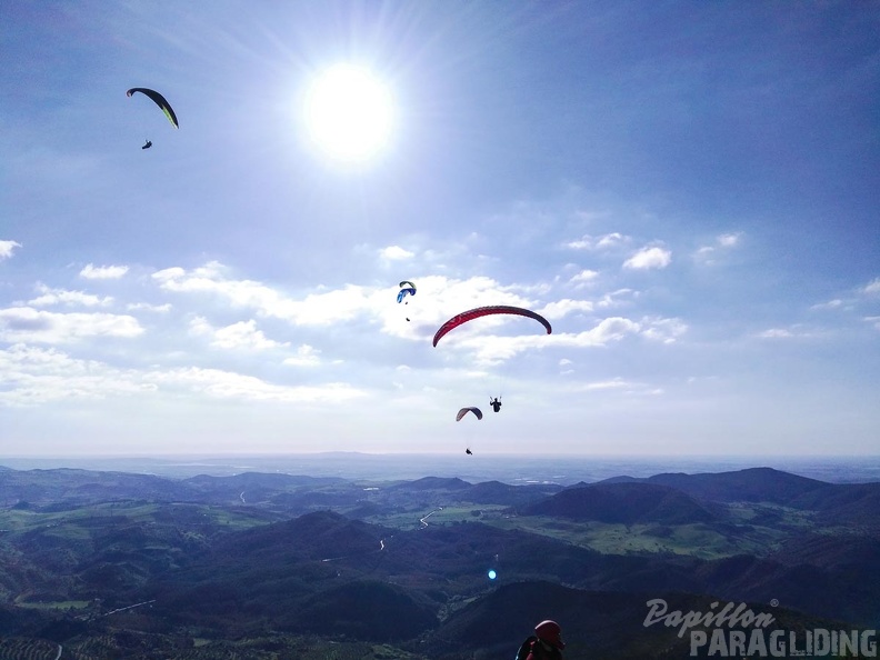 FA15.16-Algodonales Paragliding-389