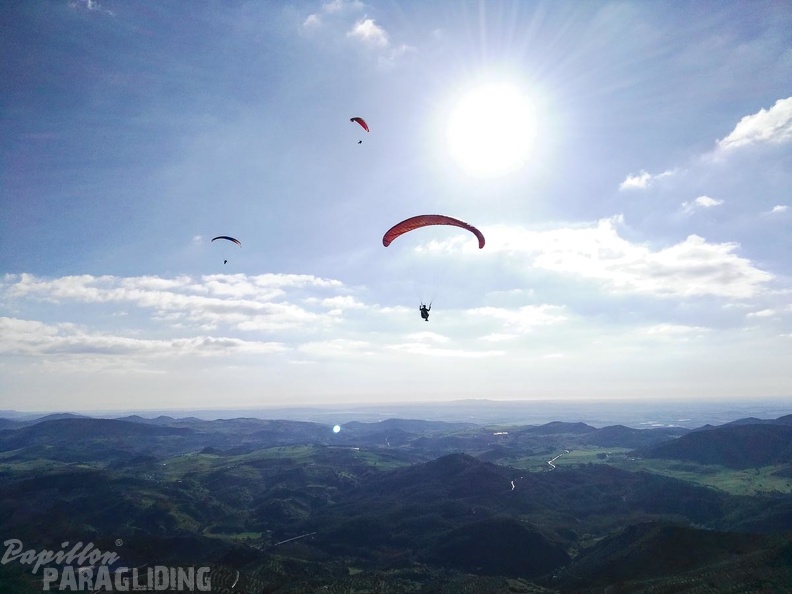 FA15.16-Algodonales Paragliding-419