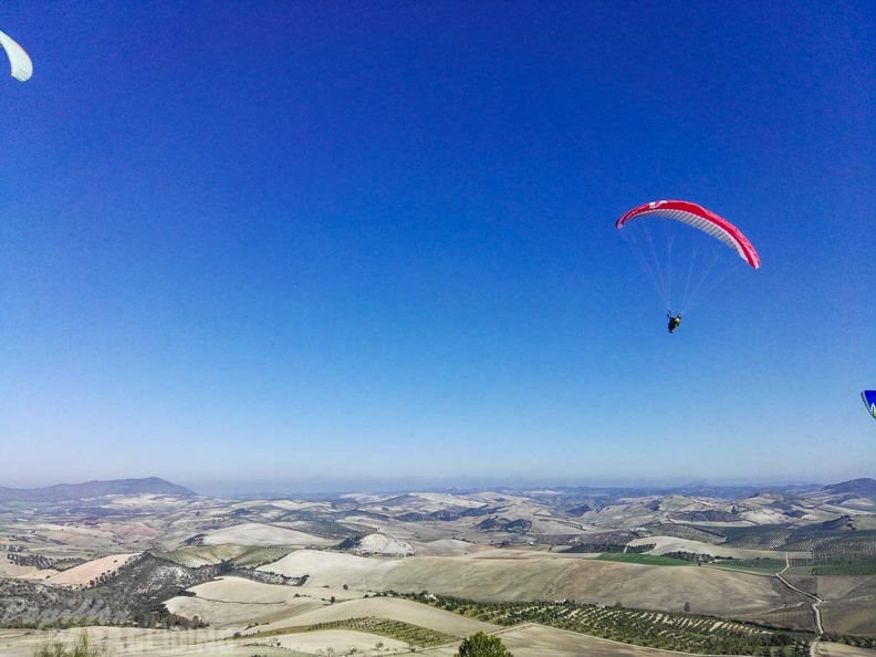 FA101.17 Algodonales-Paragliding-107