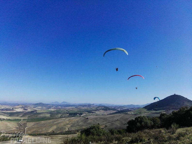 FA101.17_Algodonales-Paragliding-109.jpg