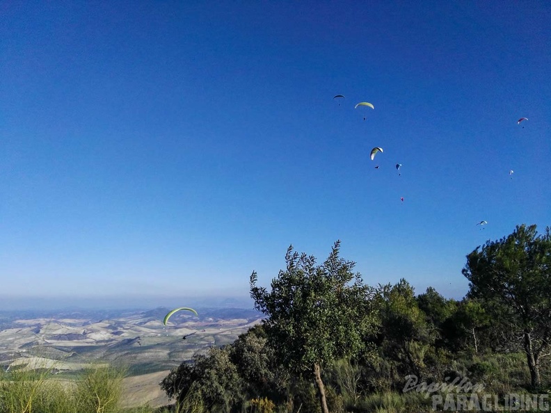 FA101.17 Algodonales-Paragliding-130