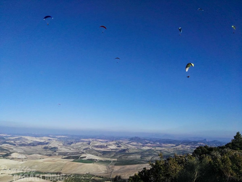 FA101.17 Algodonales-Paragliding-133