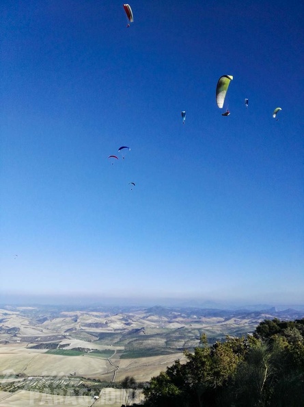 FA101.17 Algodonales-Paragliding-135